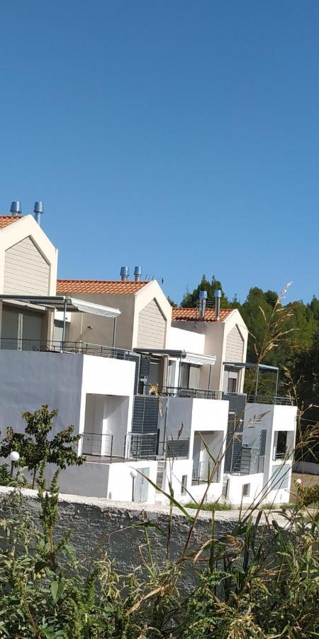 M.J.P. House Daire Metamorfosi  Dış mekan fotoğraf